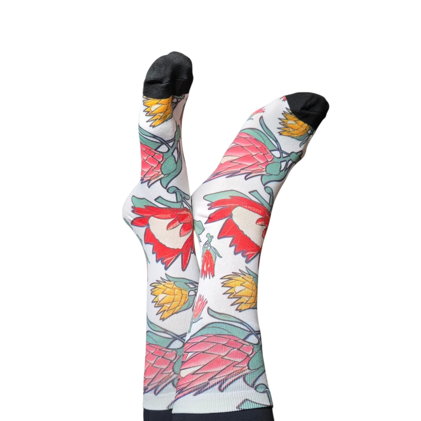 Cool socks proteas