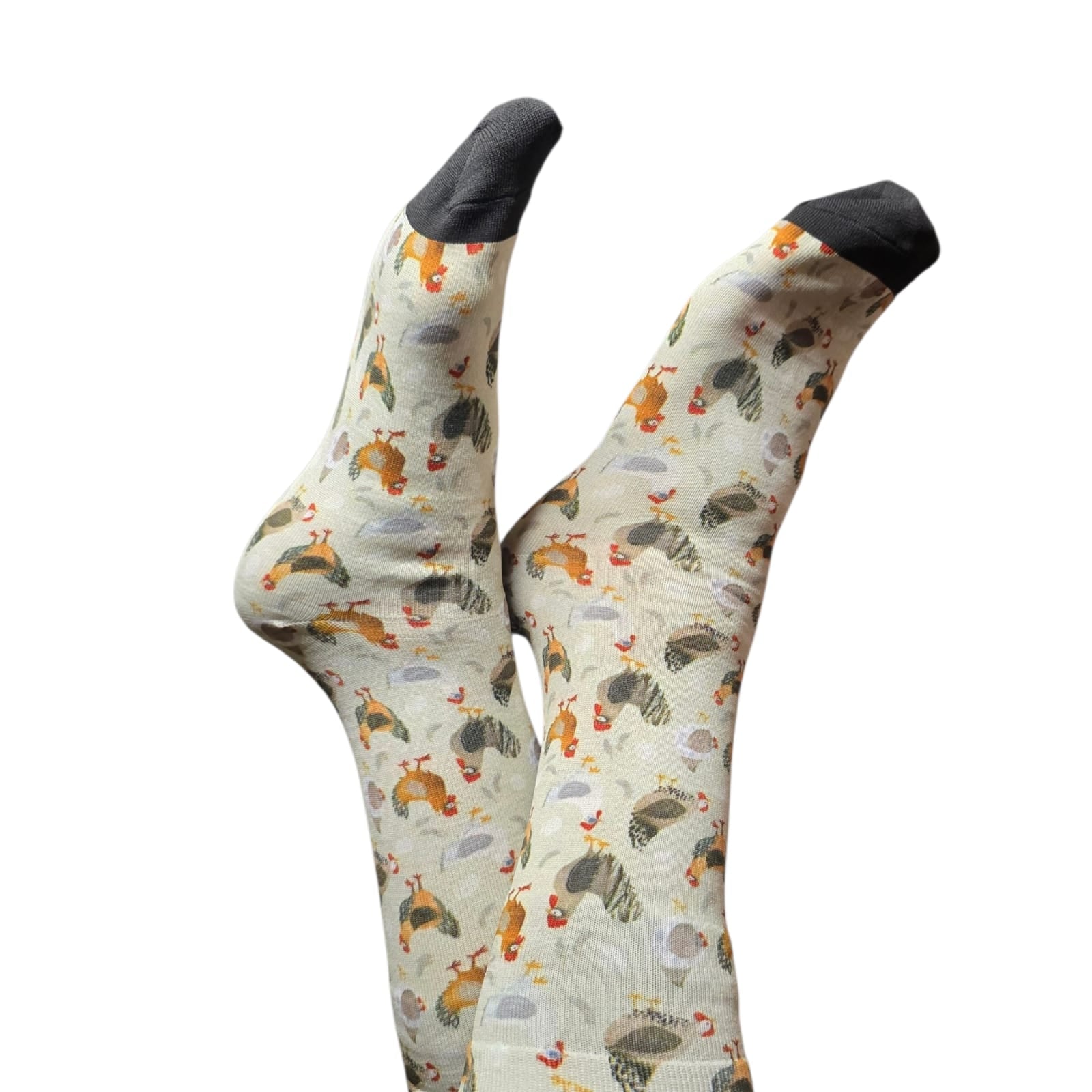 Cool socks chickens