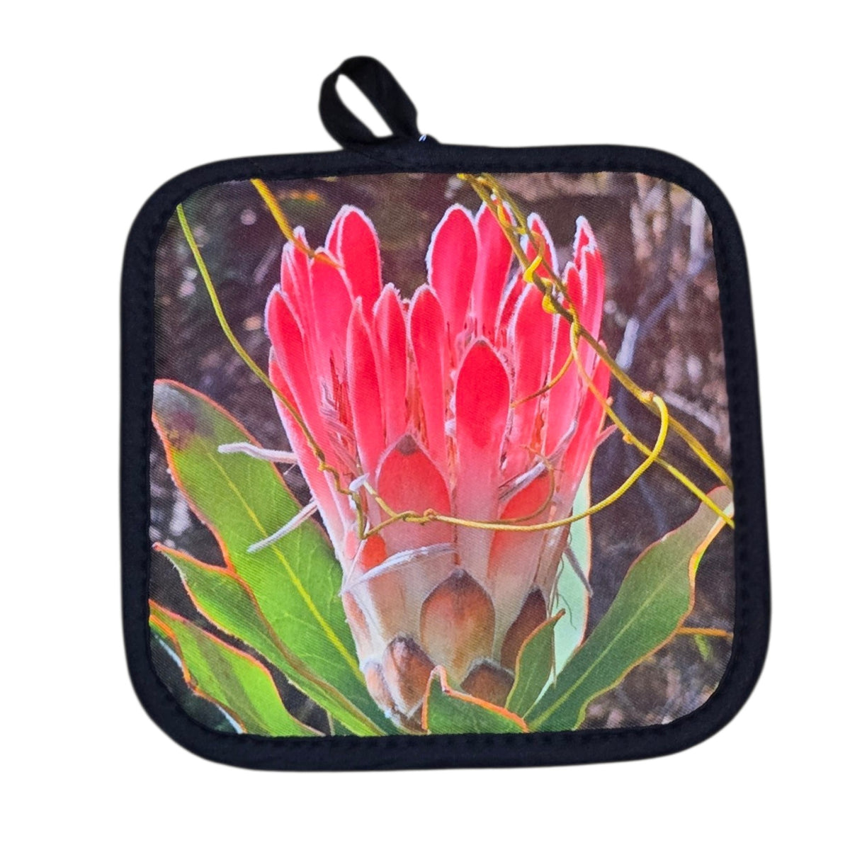 Pot holder