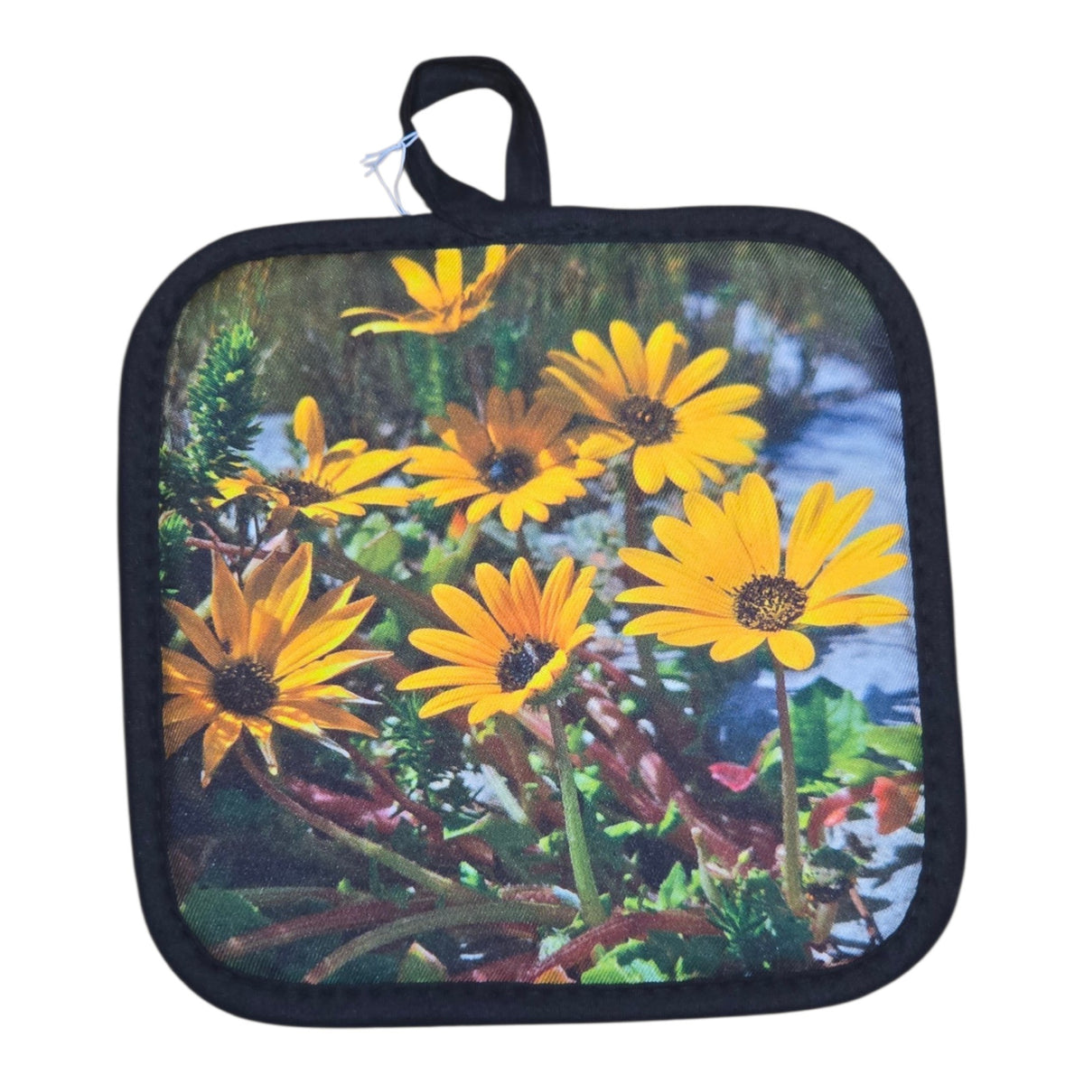 Pot holder
