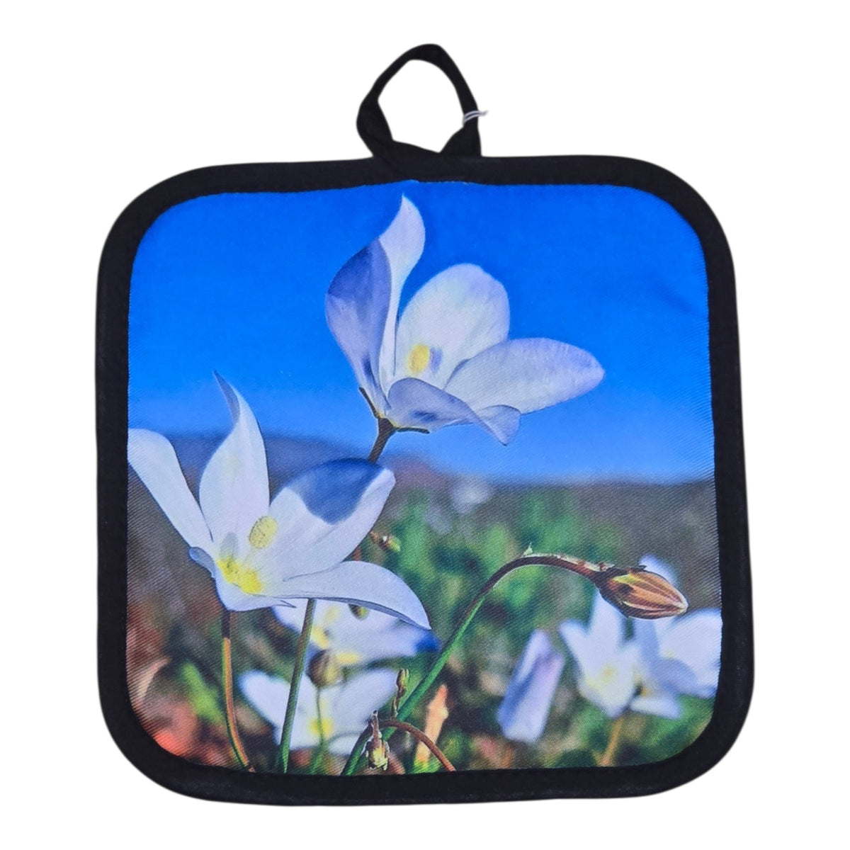 Pot holder