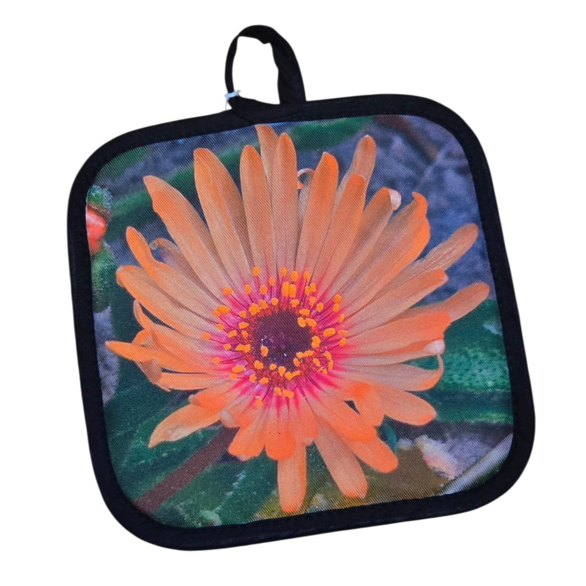 Pot holder