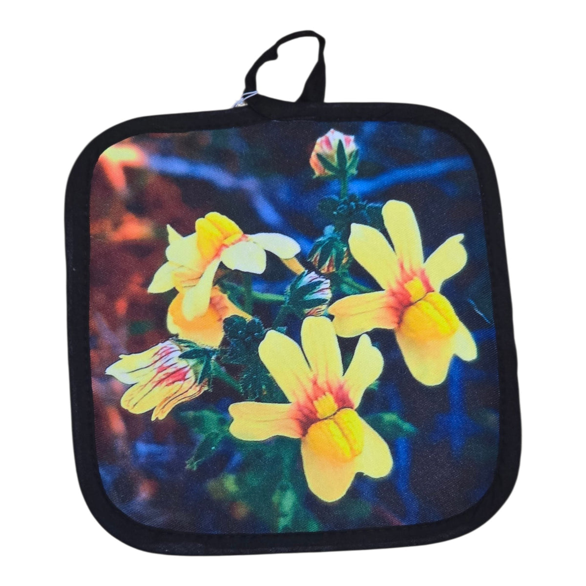 Pot holder